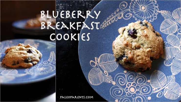 blueberry-breakfast-cookies, The Best Paleo COOKIE Recipes! | Real Everything