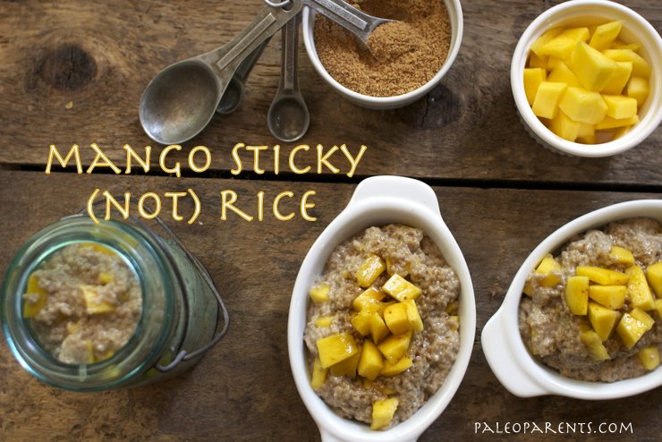 Mango-Sticky-not-Rice-by-PaleoParents1.jpg