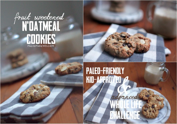 NOatmeal-Cookies-on-PaleoParents-com.jpg, Great travel snacks for the holidays- Paleo and Healthy!