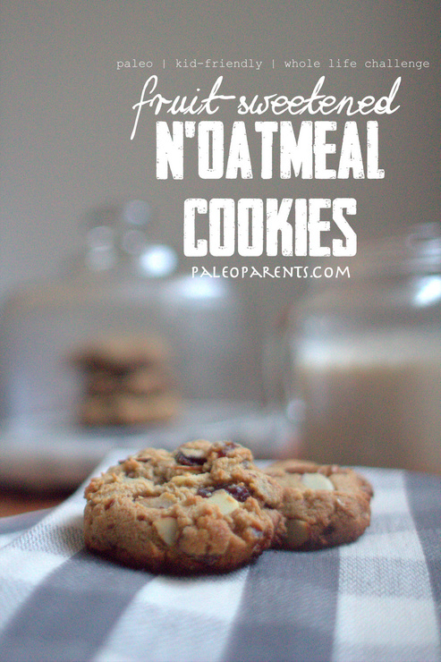 noatmeal_cookies_by_paleoparents-com, The Best Paleo COOKIE Recipes! | Real Everything