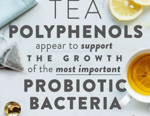 Tea polyphenols appear to support the growth of the most important probiotic bacteria