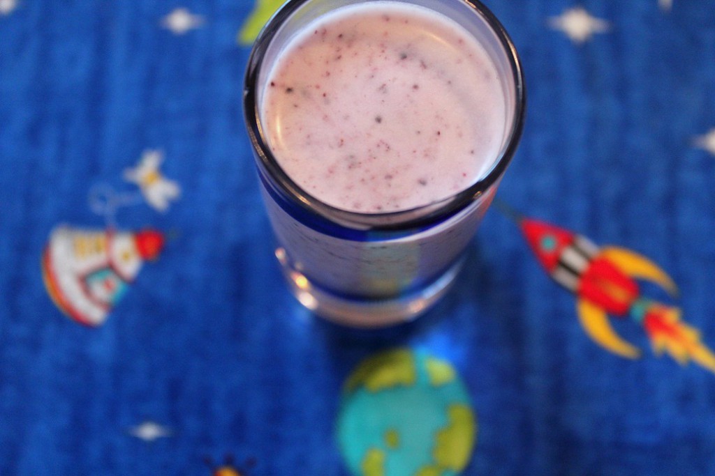 Blueberry Smoothie, How to Use Up All Those Summer Berries! | Paleo Parents