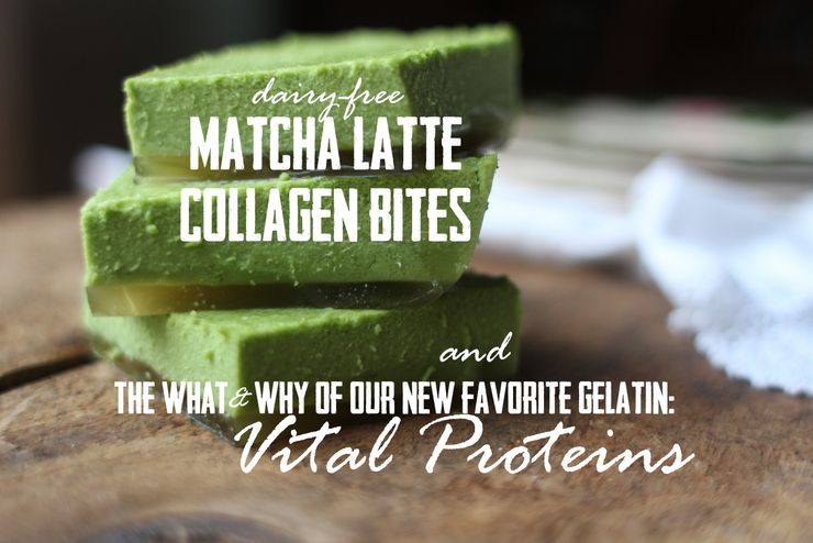 Matcha-Latte-Collagen-Bites-with-Vital-Proteins, Too Much Sugar? Halloween & Holiday Recovery Ideas | Real Everything