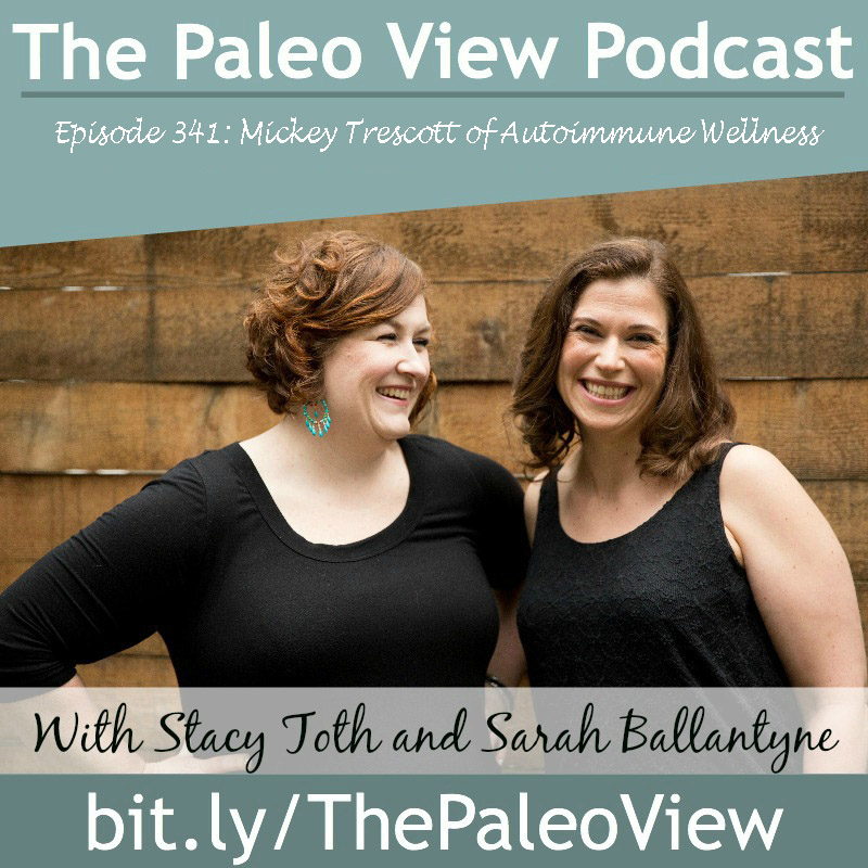 The Paleo View Podcast Episode 341 Mickey Trescott of Autoimmune Wellness